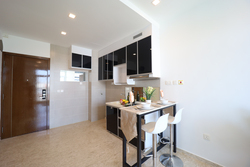 Cardiff Residence (D19), Condominium #451468801